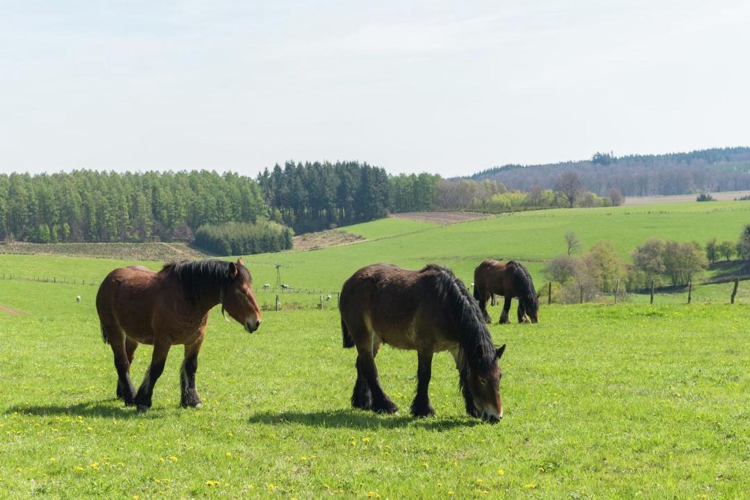 Photo of Others in Bievre