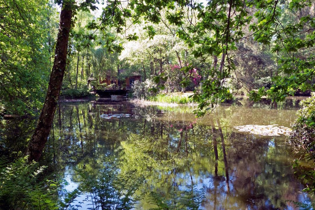 Photo of Others in Opglabbeek