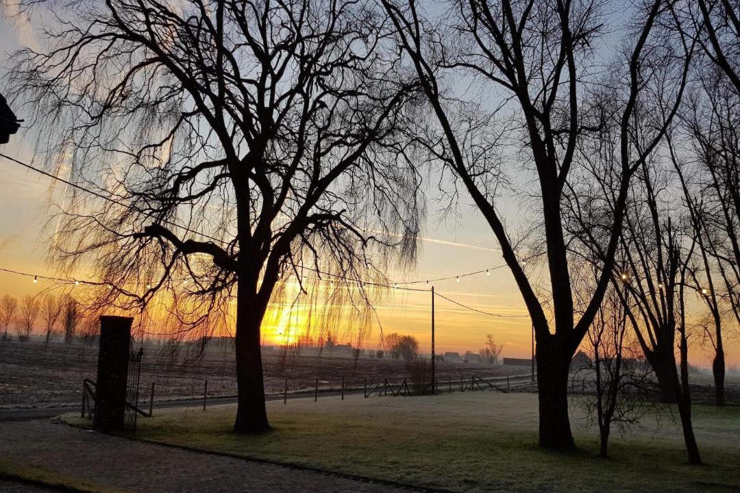 Photo of Others in Poperinge