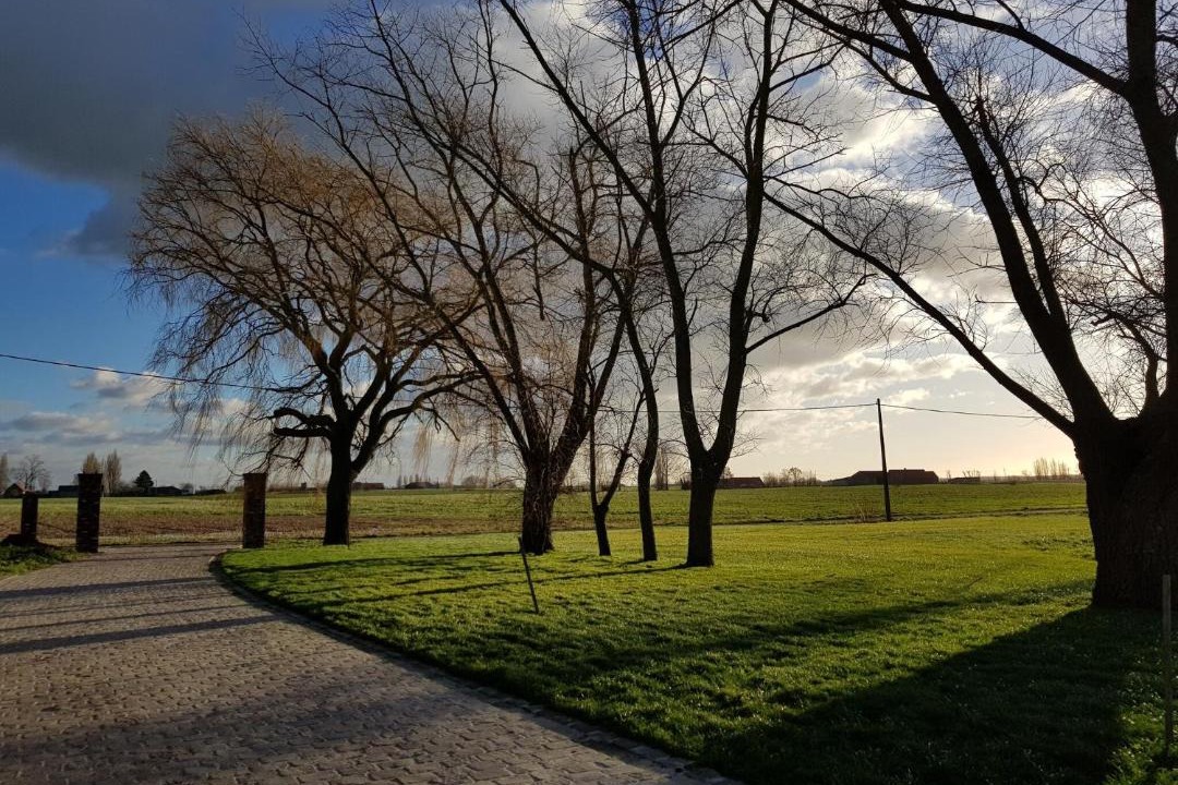 Photo of Others in Poperinge