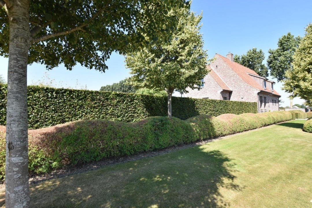 Photo of Others in Lichtervelde