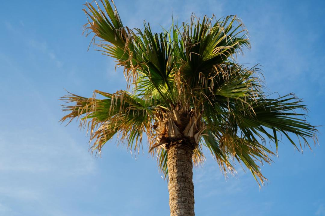 Photo of Outdoor in Itoshima