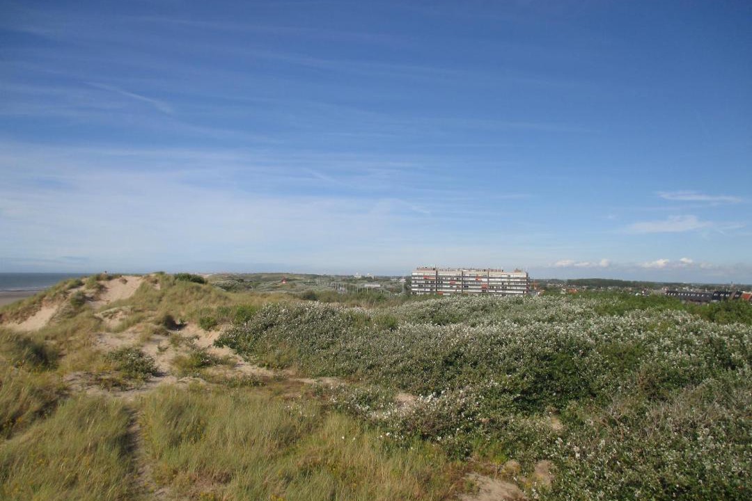 Photo of Others in Bredene