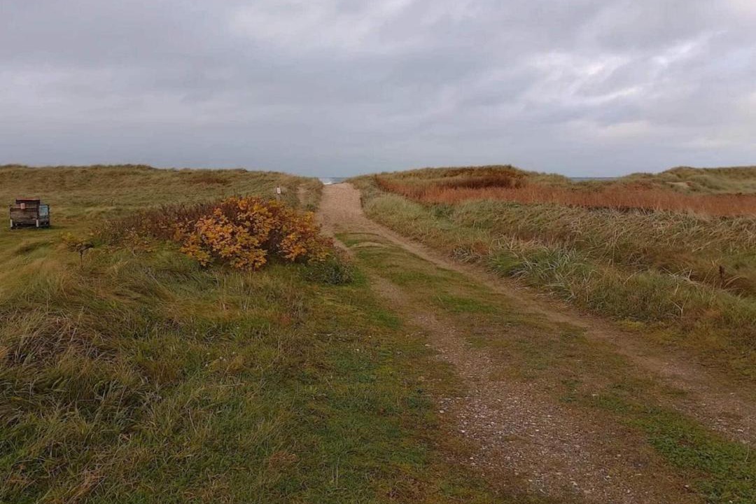 Photo of Others in Torup Strand