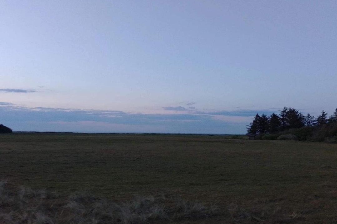 Photo of Others in Torup Strand