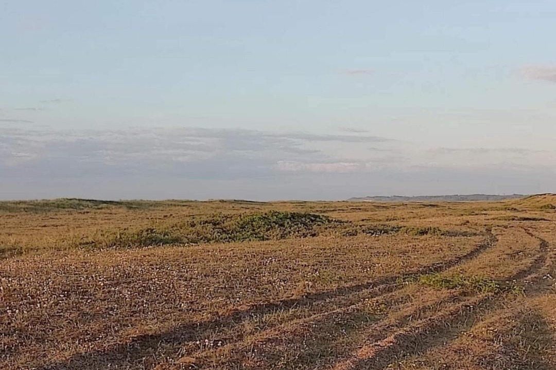 Photo of Others in Torup Strand