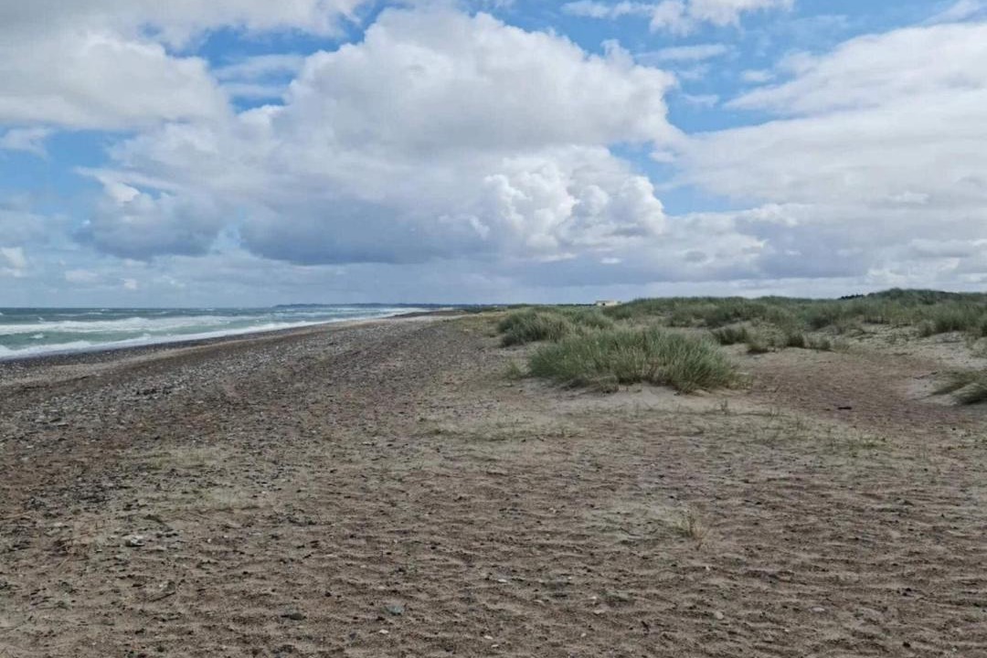 Photo of Others in Torup Strand