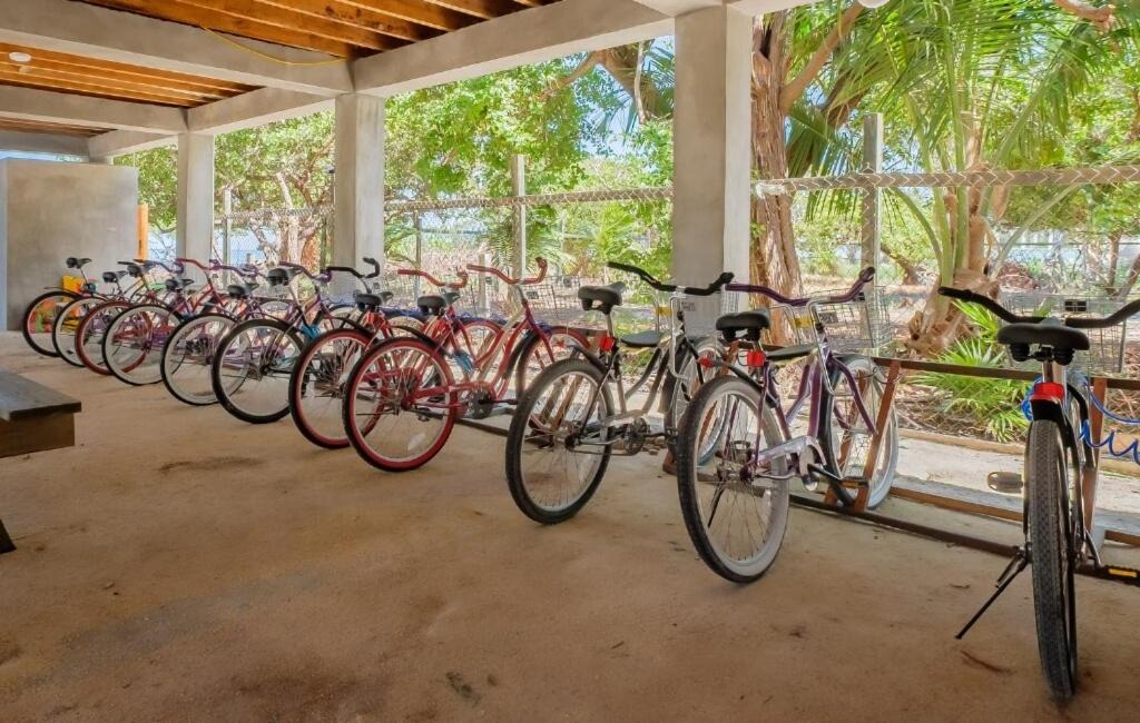 Photo of Others in Caye Caulker