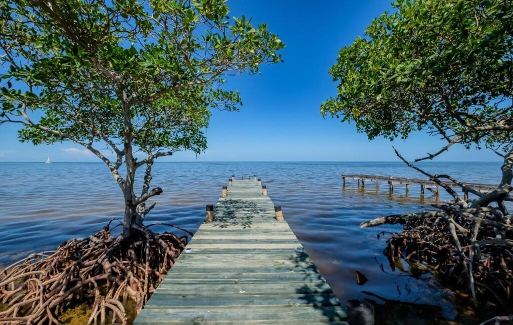 Photo of Others in Caye Caulker