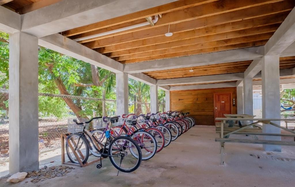 Photo of Others in Caye Caulker
