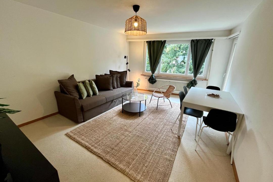 Photo of Livingroom in Albisrieden