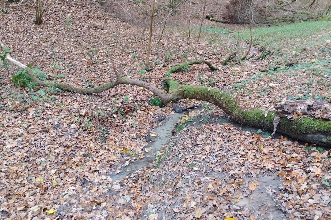 Photo of Outdoor in Brovst