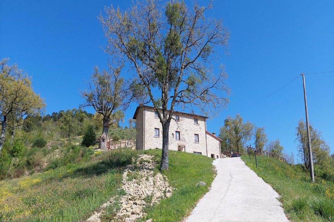 Photo of Others in Carpegna