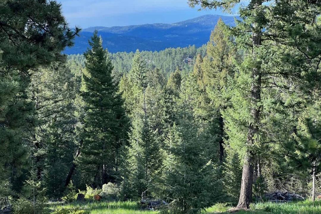 Photo of Others in Evergreen Meadows