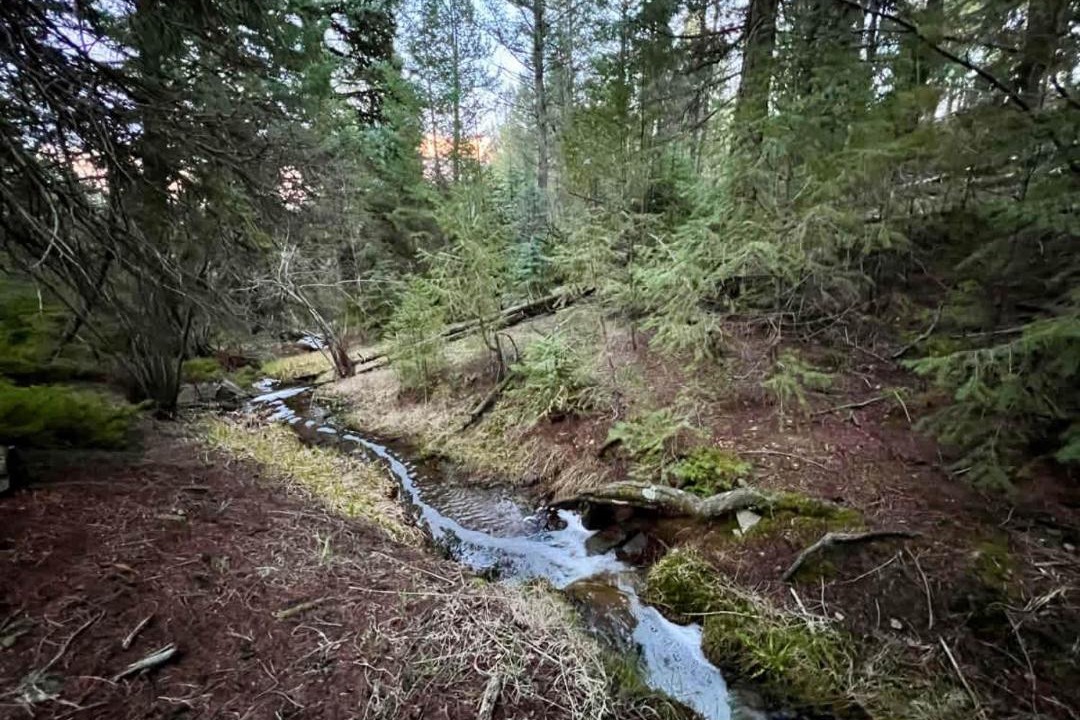 Photo of Others in Evergreen Meadows
