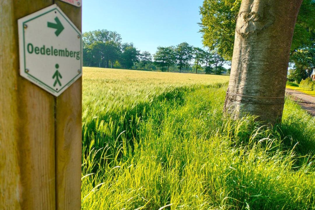 Photo of Outdoor in Beernem