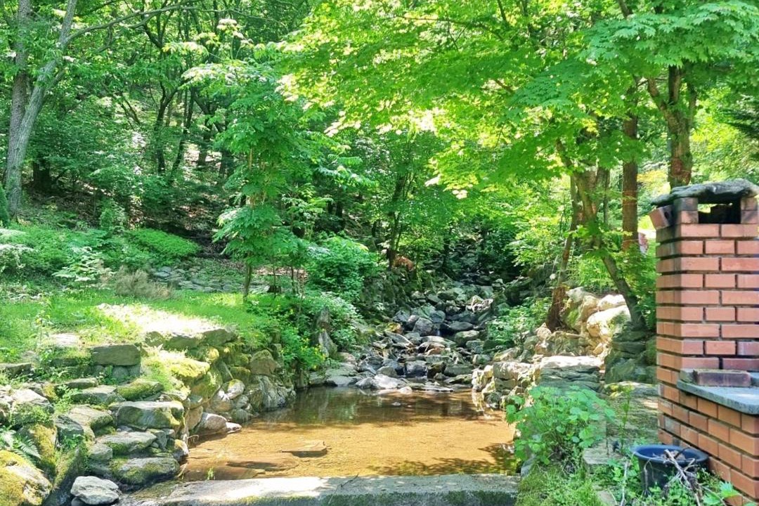 Photo of Others in Gwangju