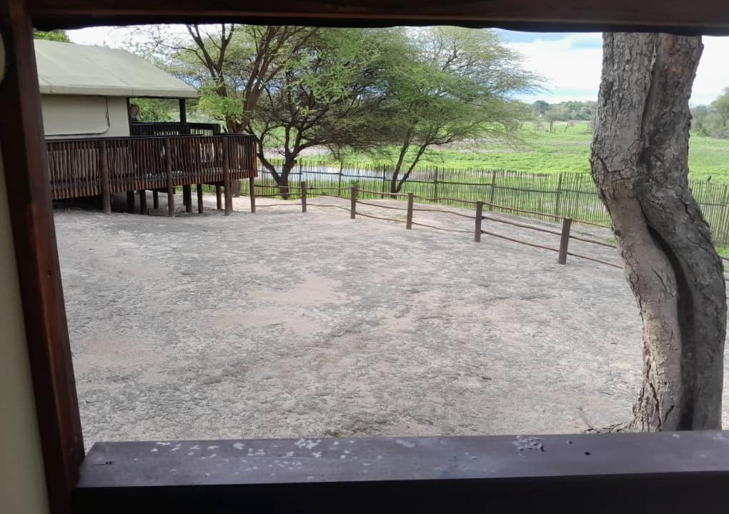 Photo of Others in Maun