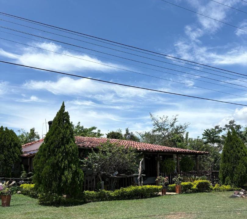 Photo of Others in Pinchote