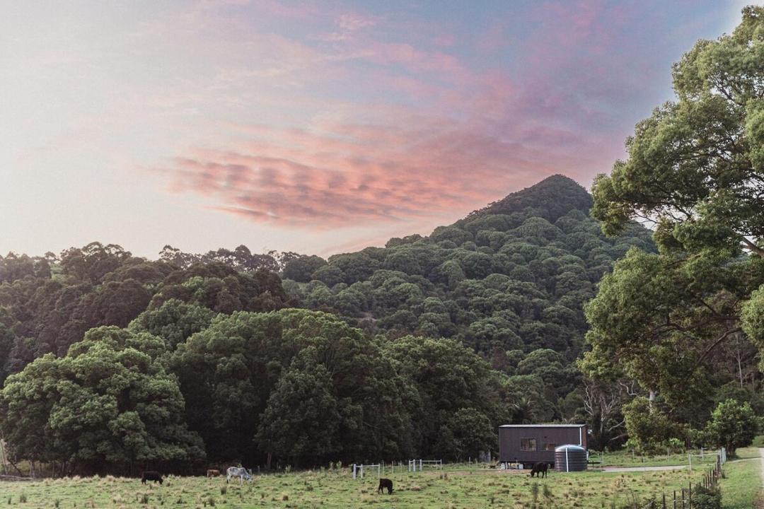 Photo of Others in Mullumbimby