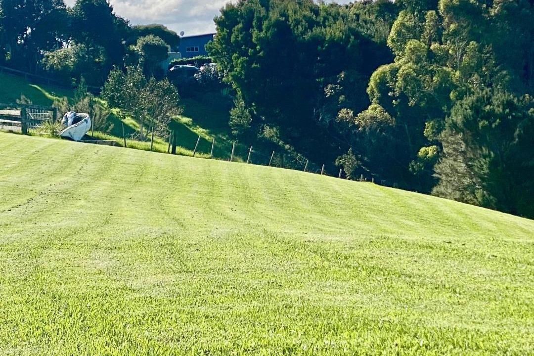 Photo of Others in Ruakaka