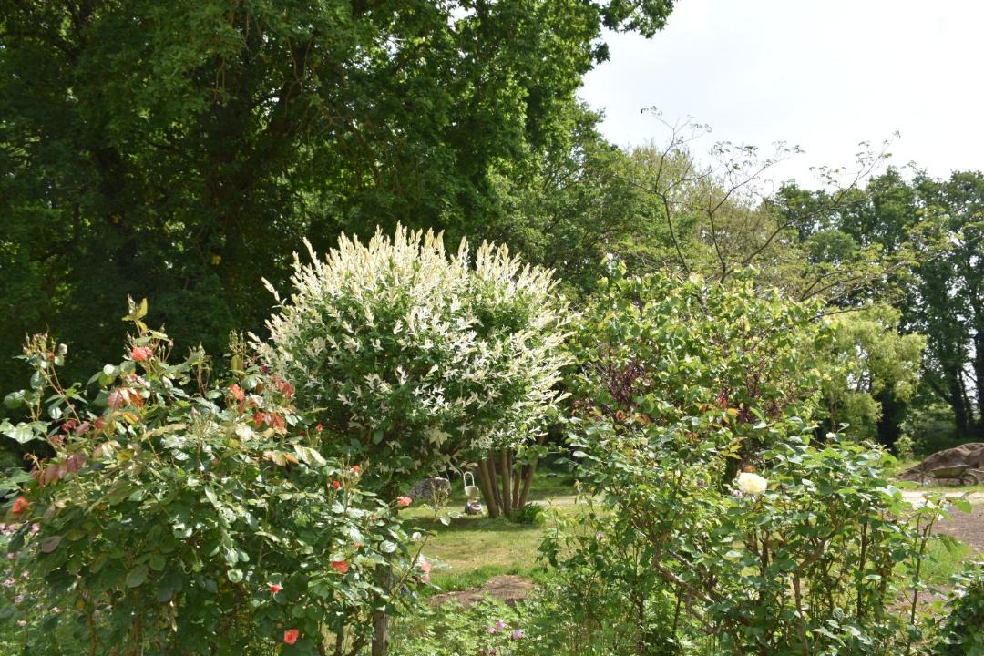 Photo of Outdoor in Nort-sur-Erdre