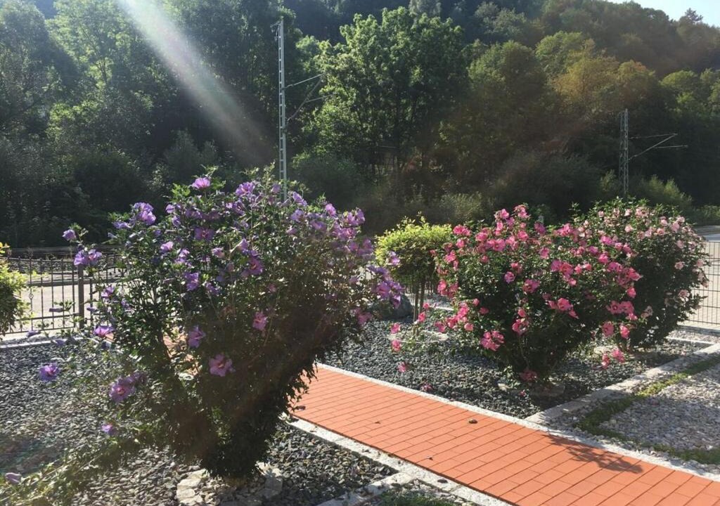 Photo of Outdoor in Elbingerode