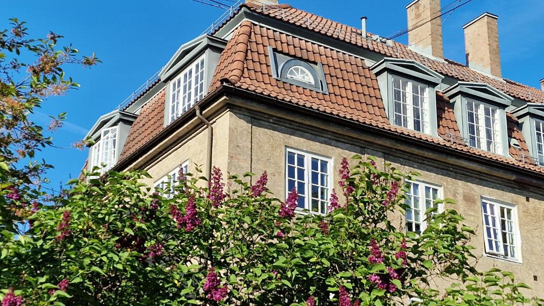 Photo of Others in Frogner