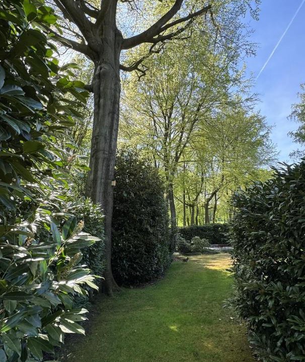 Photo of Others in Overijse