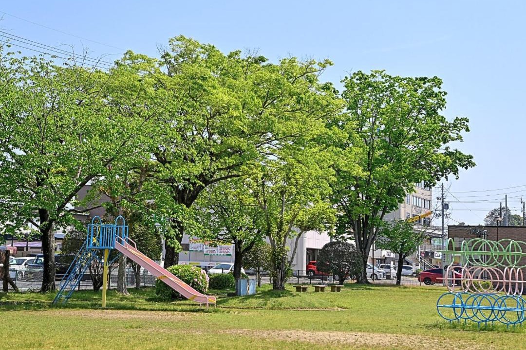 Photo of Others in Kani