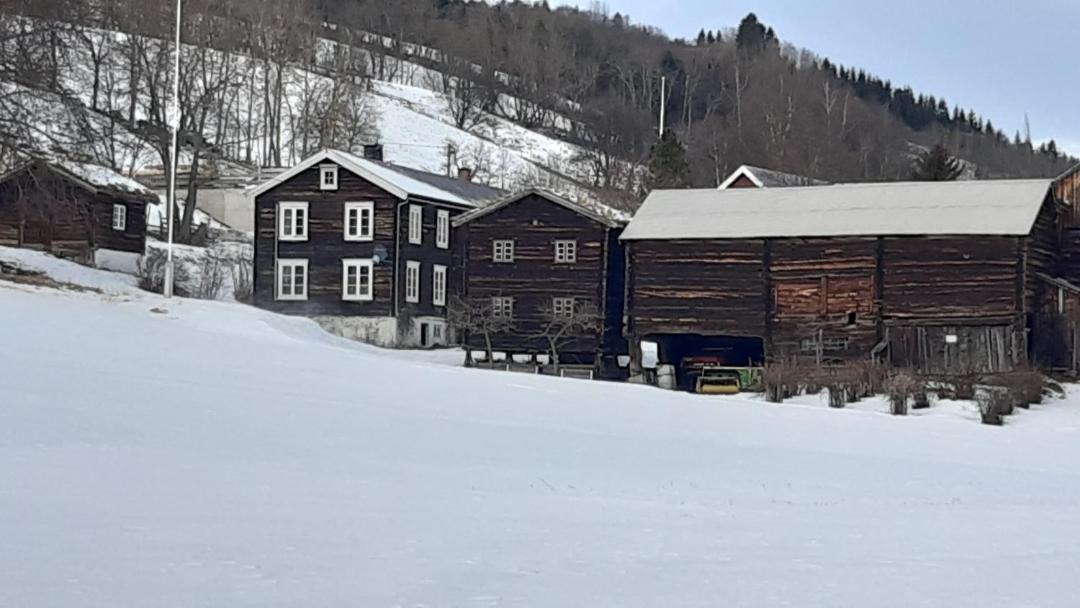 Photo of Others in Rennebu