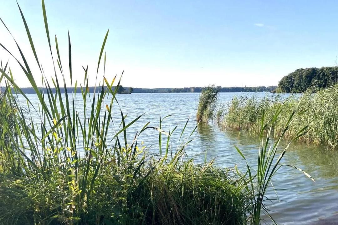 Photo of Others in Schwielochsee