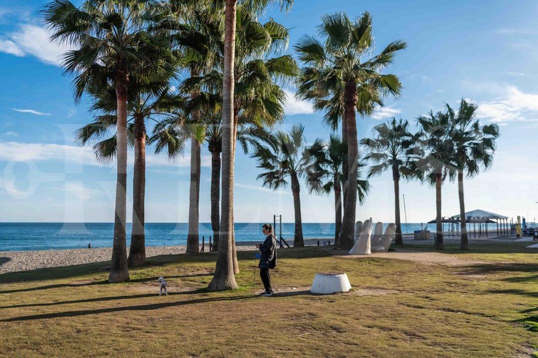 Photo of Others in Torreblanca