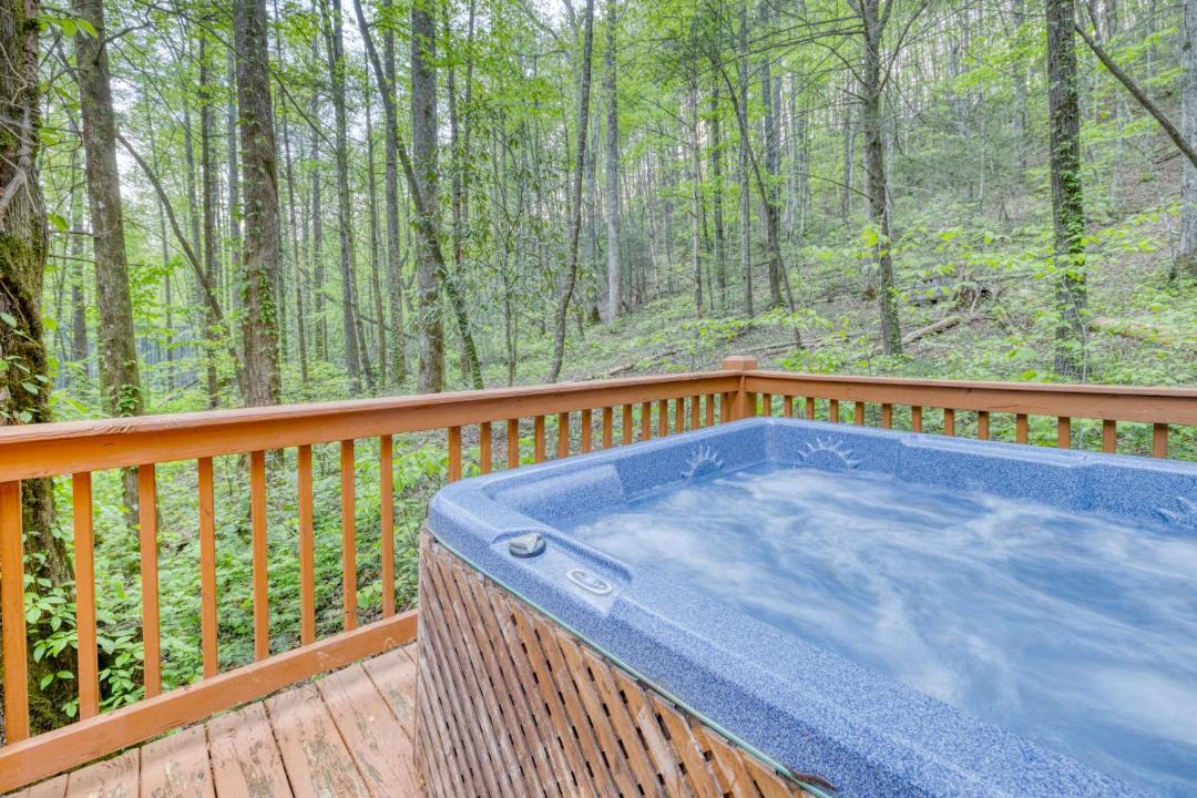 Photo of Others in Ellijay