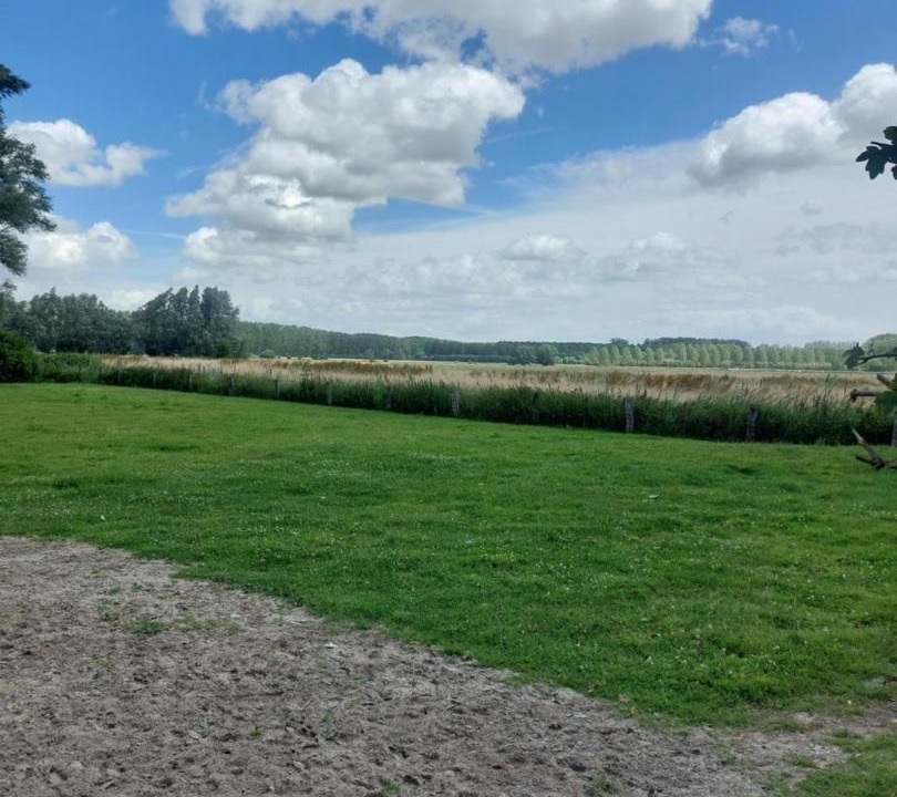 Photo of Others in Wachtebeke