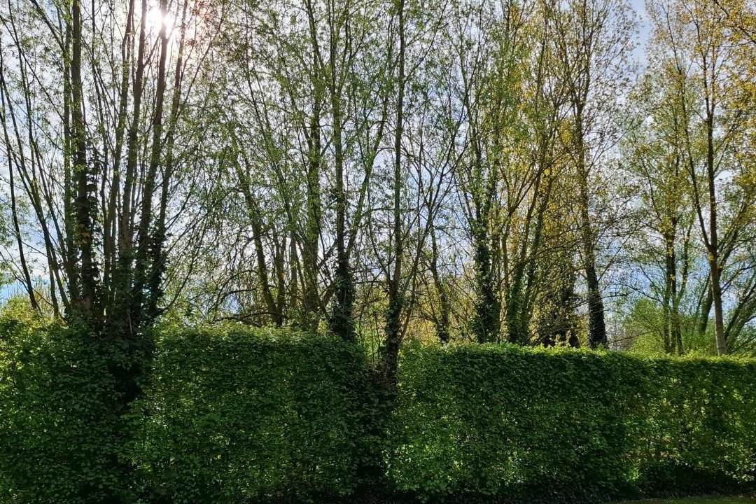 Photo of Others in Wachtebeke