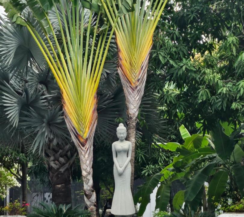 Photo of Others in Sen Sok