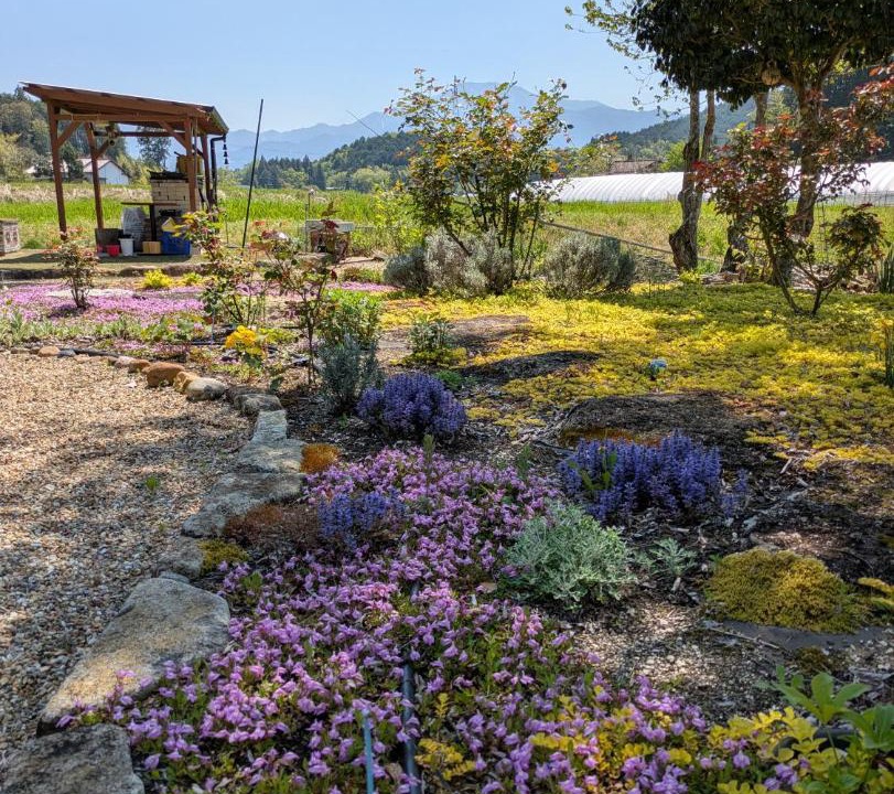 Photo of Outdoor in Nakatsugawa