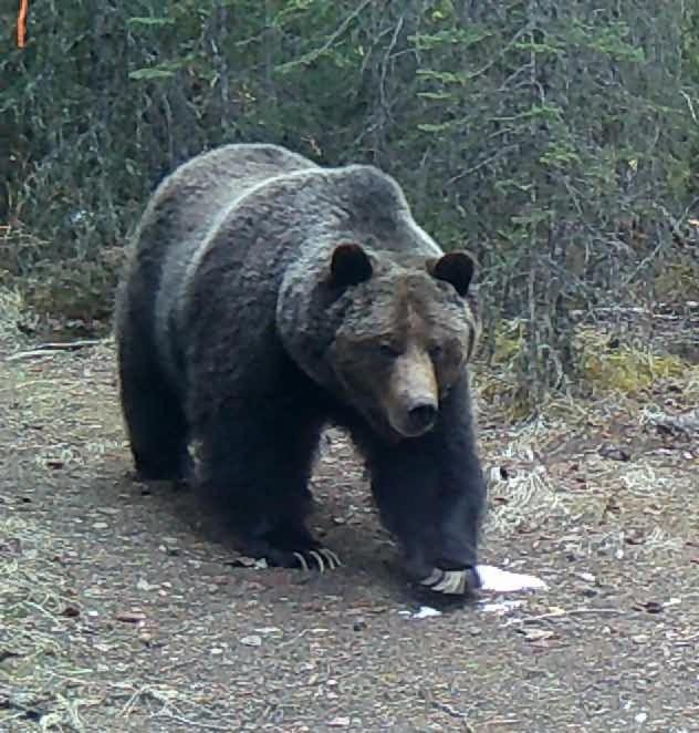 Photo of Others in Rock Lake