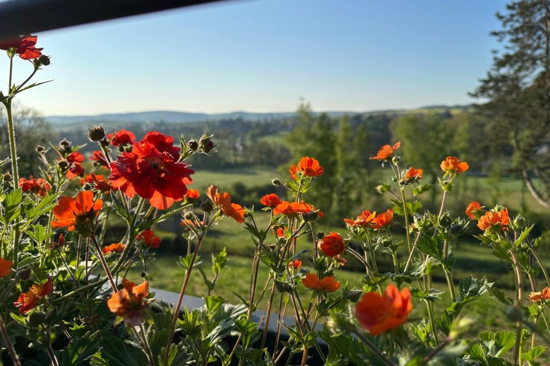Photo of Patio Balcony in Wellin
