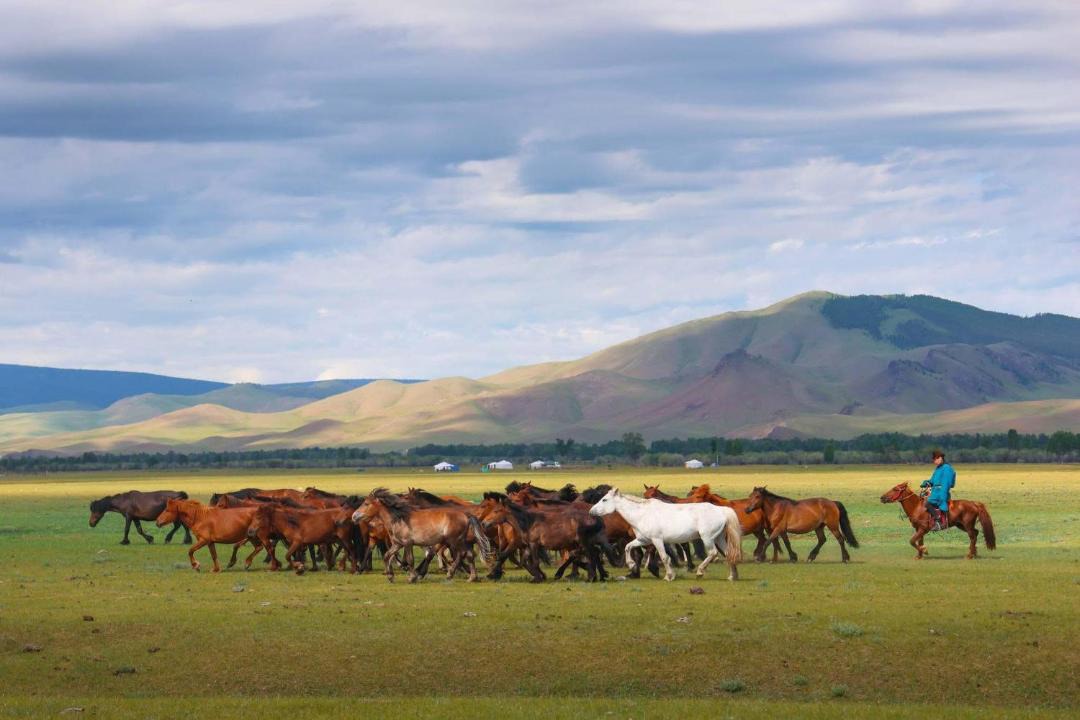 Photo of Others in Arhangay