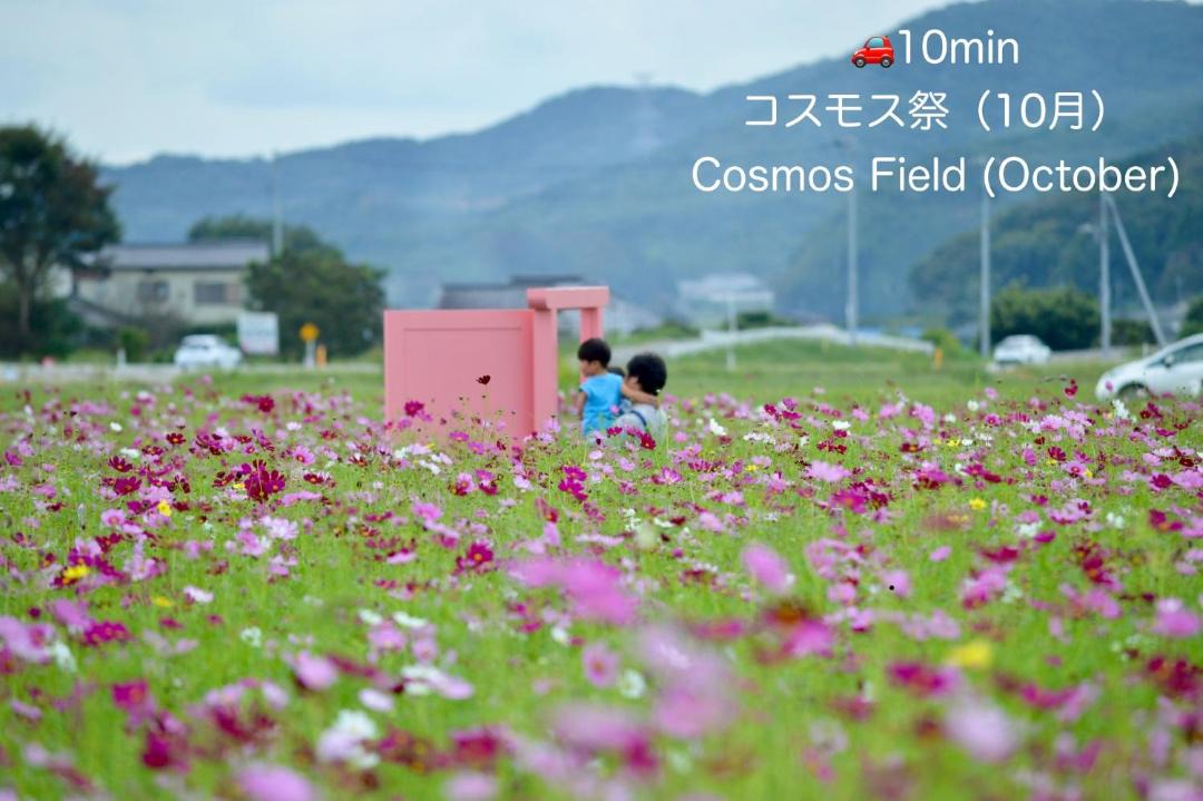 Photo of Others in Mashiko