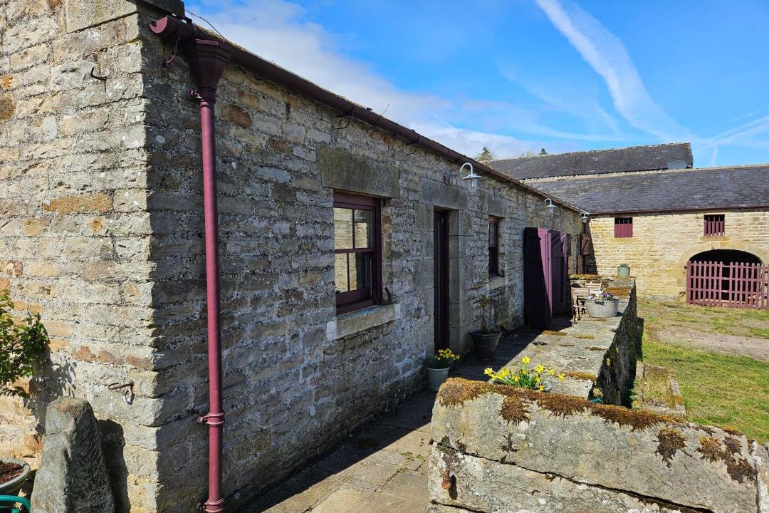 Photo of Buildings in Allendale