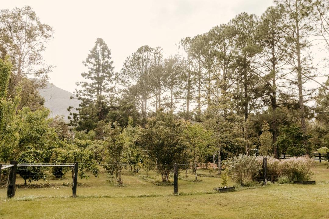 Photo of Outdoor in Nimbin