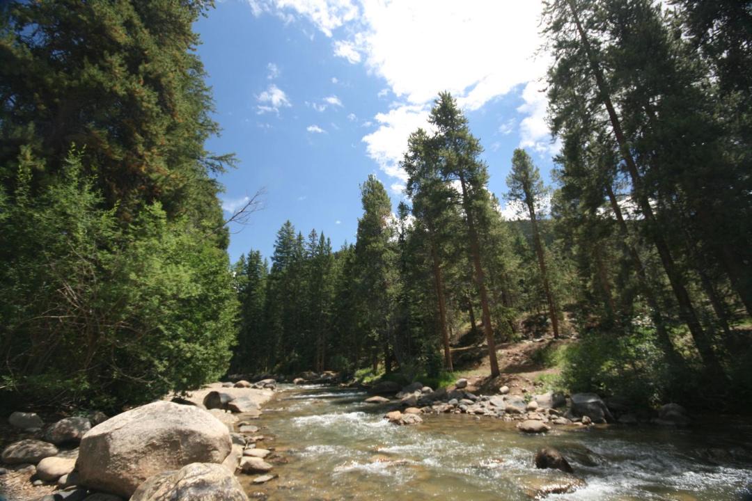 Photo of Others in Mountain House