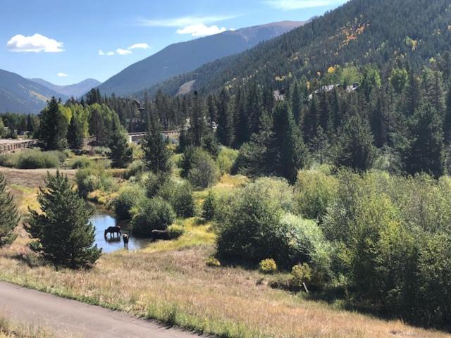 Photo of Others in Mountain House