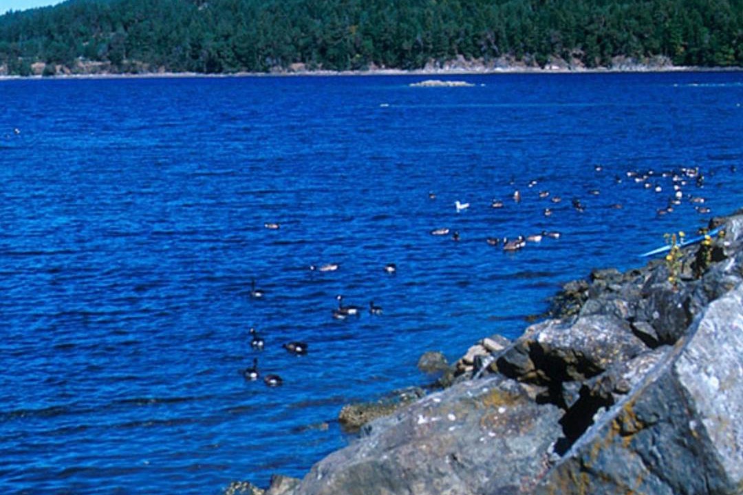 Photo of Others in Regional District of Nanaimo