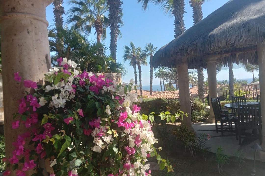 Photo of Patio Balcony in Los Cabos