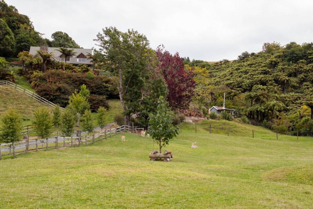Photo of Outdoor in Lake Tarawera