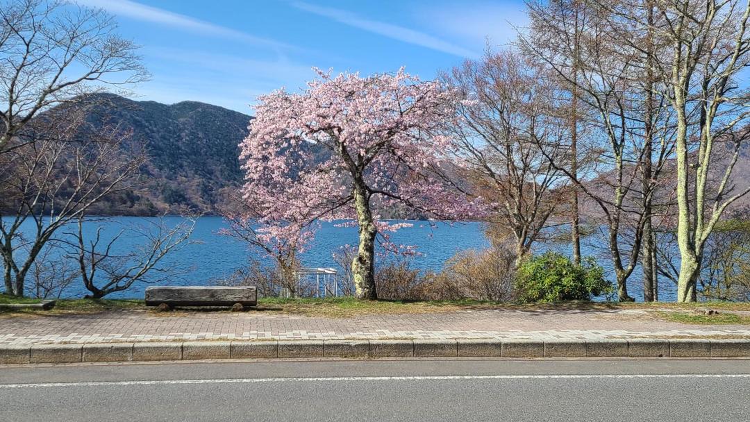 Photo of Others in Nikko